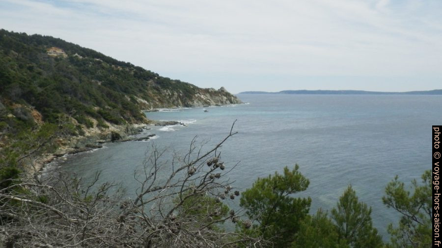 Vue vers le Cap Blanc. Photo © André M. Winter