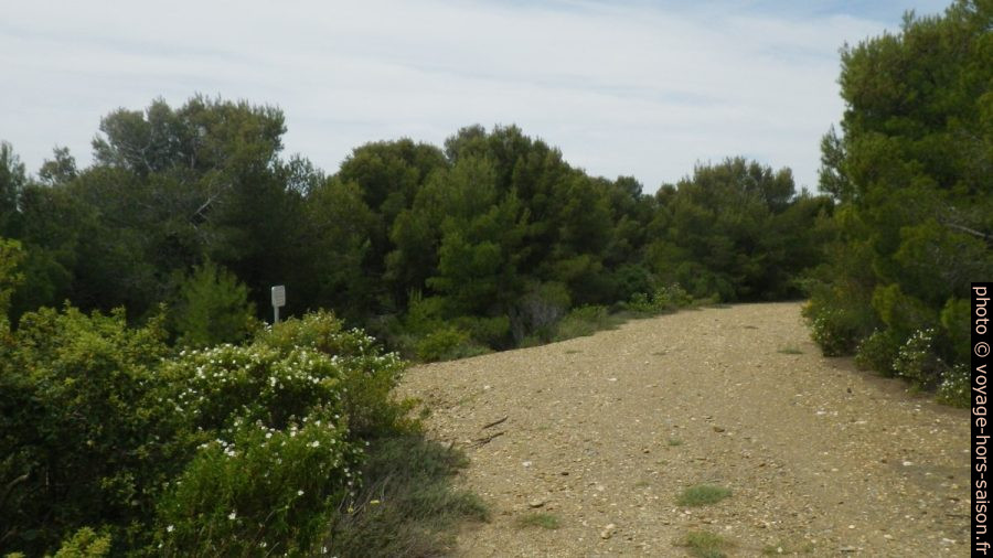 Piste et panneau d'interdiction d'accès au sentier du littoral au-dessus de la Pointe du Port-qui-Pisse. Photo © André M. Winter