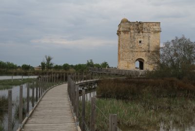 Ponton piétonnier et la Tour Carbonnière. Photo © Alex Medwedeff