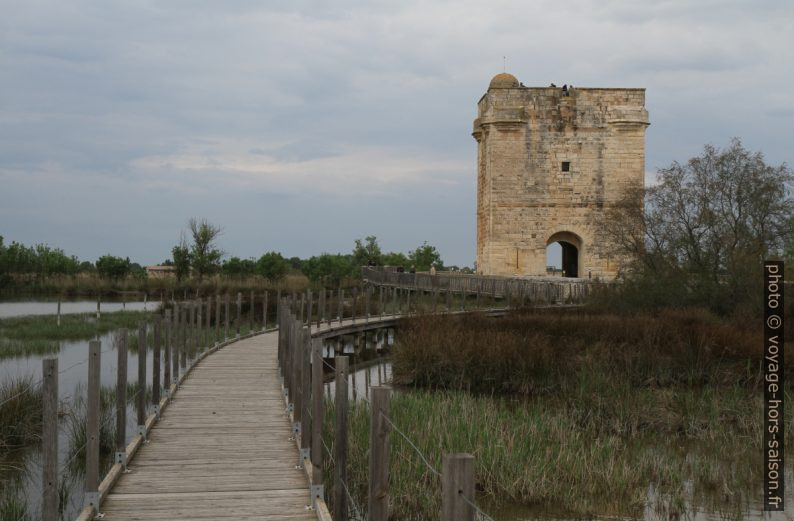 Ponton piétonnier et la Tour Carbonnière. Photo © Alex Medwedeff