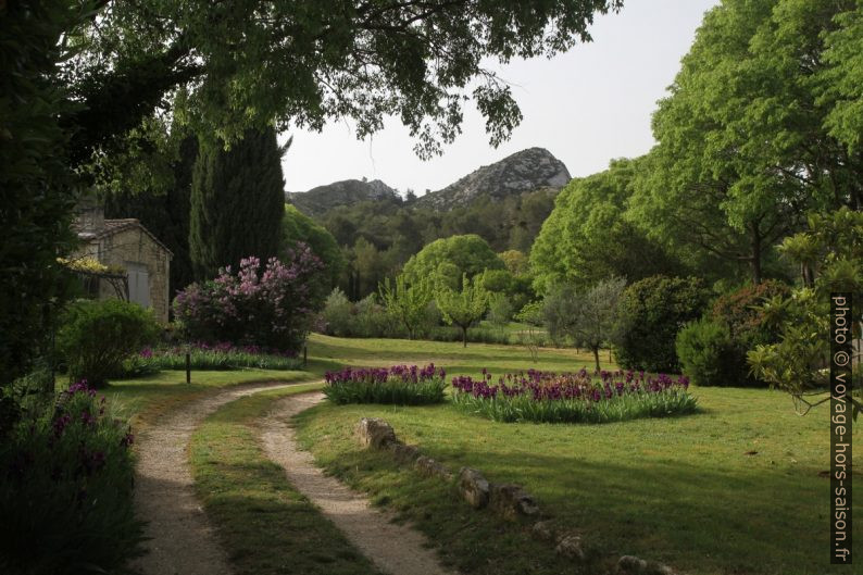 Jardin sous la Chaîne des Alpilles. Photo © Alex Medwedeff