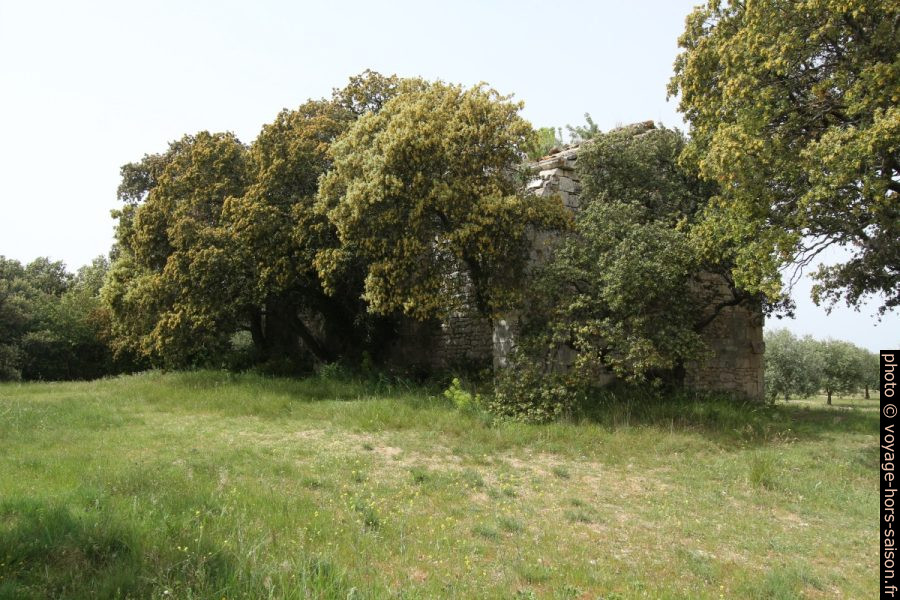 Face sud-est de la chapelle de Romanin cachée par des grands chênes. Photo © André M. Winter