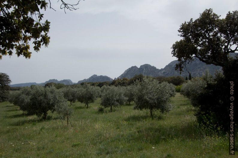 Crête des Alpilles nord-est. Photo © André M. Winter