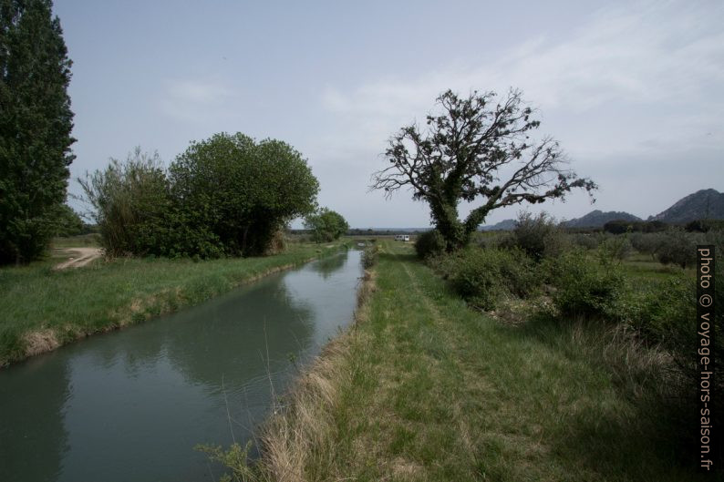 Canal septentrionales des Alpines. Photo © André M. Winter