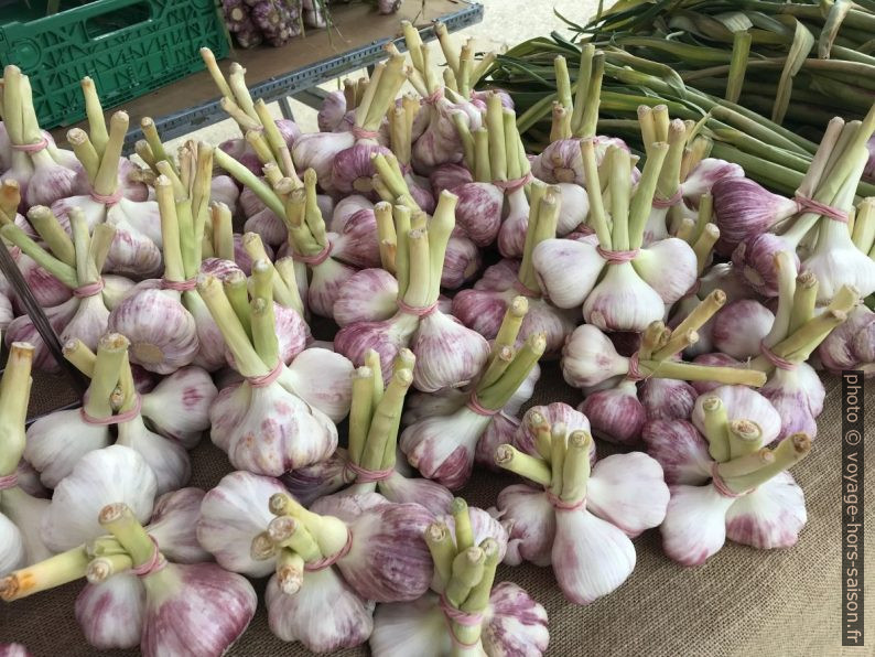 Ail nouveau au marché de St. Rémy. Photo © Alex Medwedeff