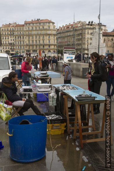 Stands de poisson au Vieux-Port. Photo © Alex Medwedeff