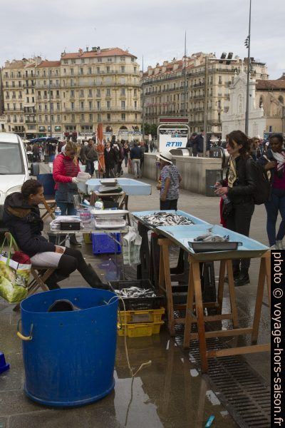 Stands de poisson au Vieux-Port. Photo © Alex Medwedeff