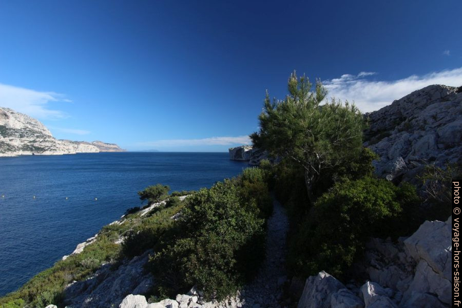 Un peu de végétation sur la Corniche du Renard. Photo © André M. Winter