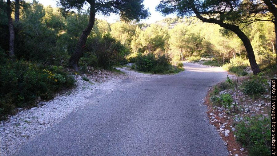 Deuxième bifurcation du chemin de la Route de Morgiou. Photo © André M. Winter