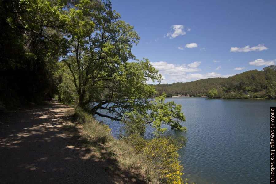 Chemin du Lac de Carcès. Photo © André M. Winter
