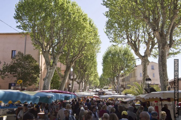 Le Marché de Lorgues sous les platanes du Cours de la République. Photo © André M. Winter