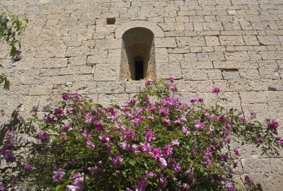 Fleurs sous une minuscule ouverture de la façade sud. Photo © André M. Winter