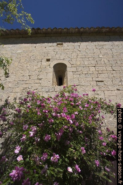 Fleurs sous une minuscule ouverture de la façade sud. Photo © André M. Winter