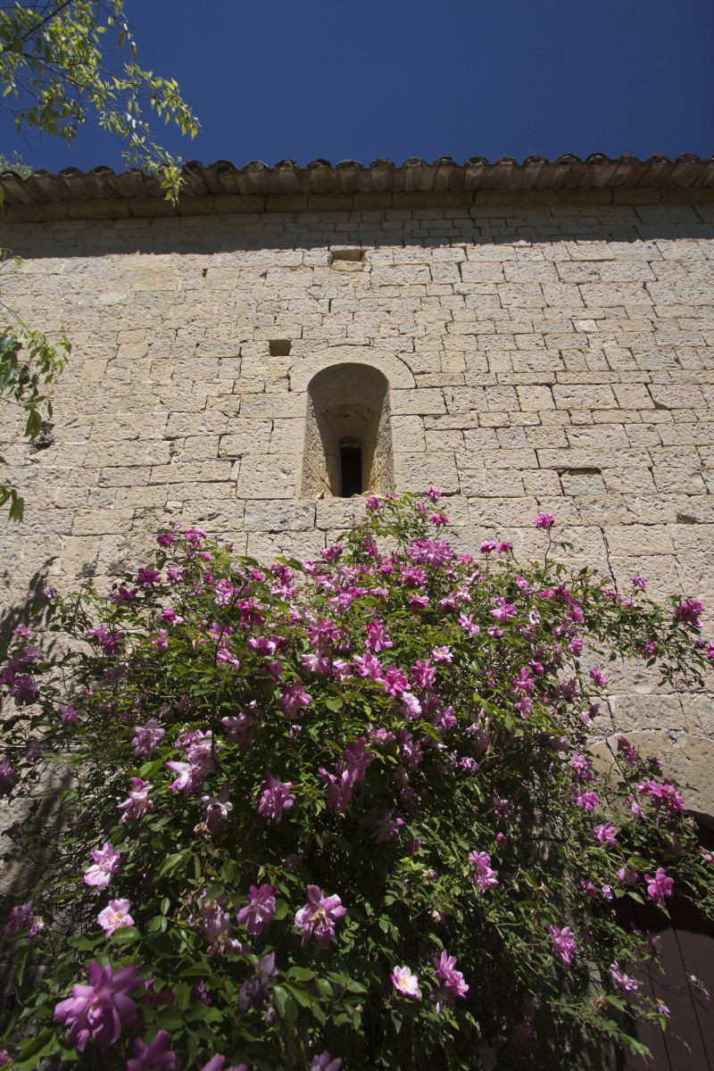 Fleurs sous une minuscule ouverture de la façade sud. Photo © André M. Winter