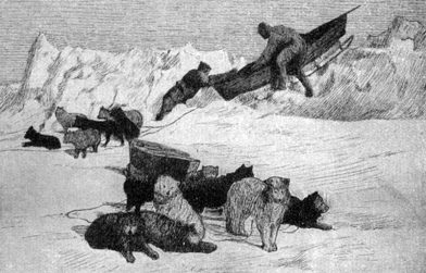 Traîneau bloqué dans la glace et chiens en attente (dessin de Nansen)