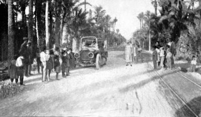 L’automobile dans la Palmeraie d’Elche dans la région de València