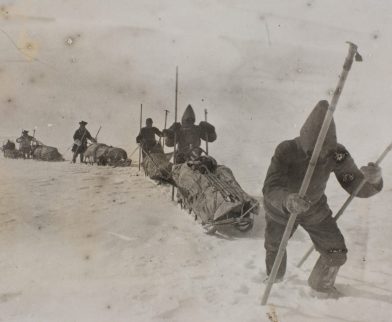 Nansen et ses co-équipiers tirent des traîneaux sur l’inlandsis