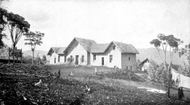 Ferme de la famille Prince à Sakkarani