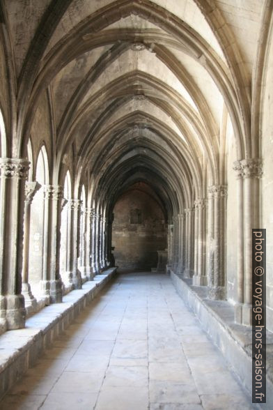 Sous la galerie ouest gothique du Cloître Saint-Trophime. Photo © André M. Winter