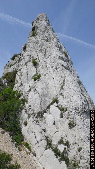 Crête des Dentelles Sarrasines. Photo © André M. Winter