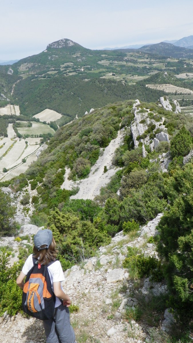 Sur le chemin au pied des falaises à l'est Dentelles Sarrasines. Photo © André M. Winter