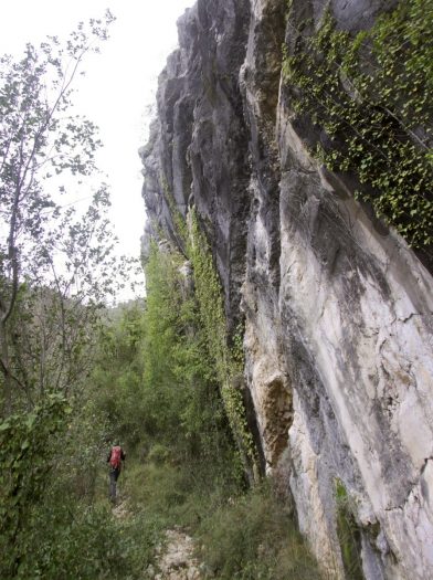 Paroi rocheuse sous crête culminant avec la cote 444. Photo © André M. Winter