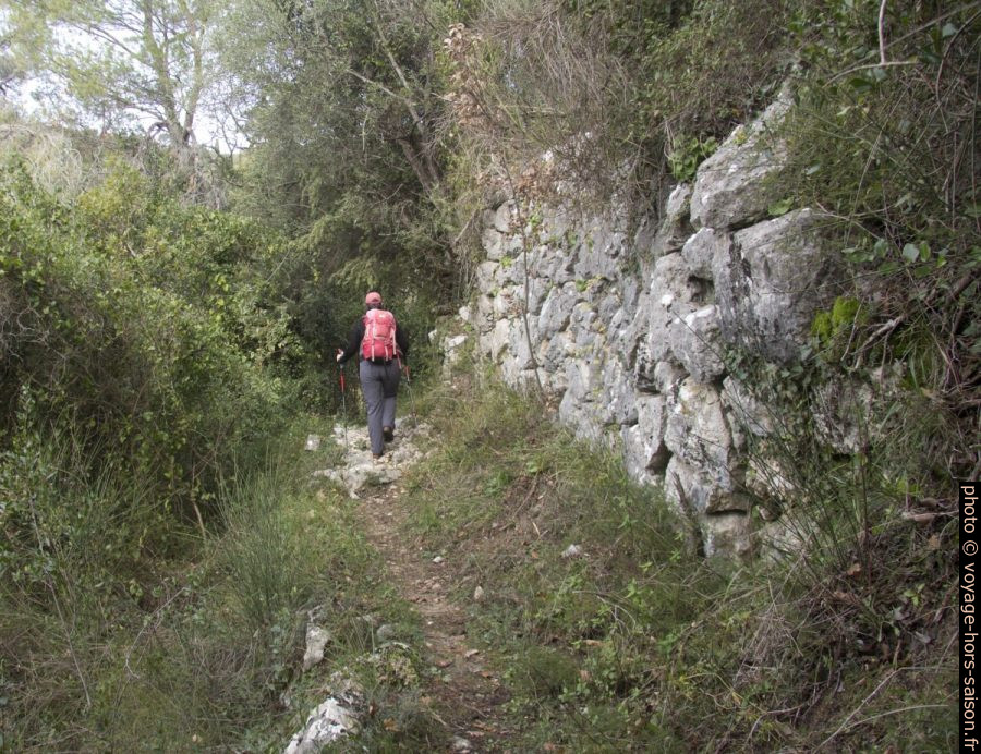 Montée le long de restanques au sud sous la balise 584. Photo © André M. Winter