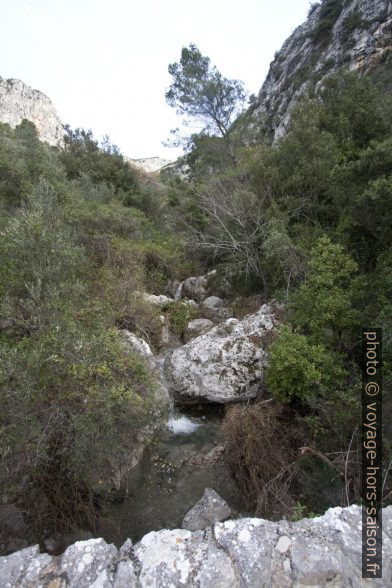 Vue en amont sur le Ruisseau de la Launa. Photo © André M. Winter