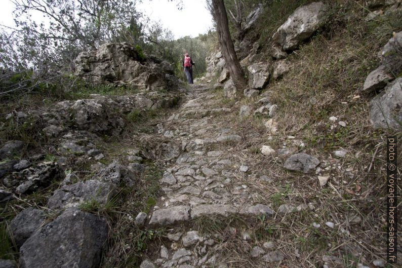 Marches caladées vers Peillon. Photo © André M. Winter