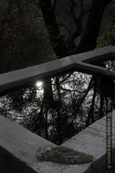 Reflet dans le lavoir au nord de Peillon. Photo © Alex Medwedeff