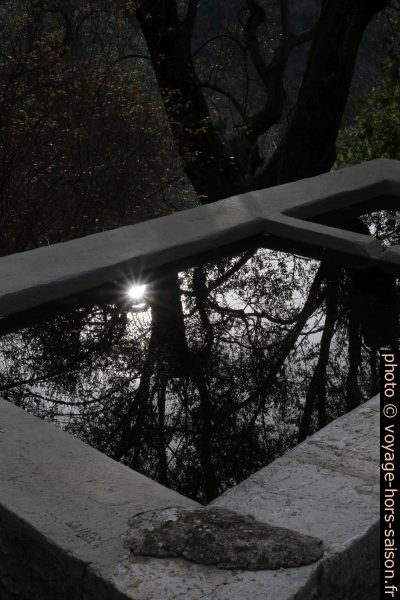 Reflet dans le lavoir au nord de Peillon. Photo © Alex Medwedeff