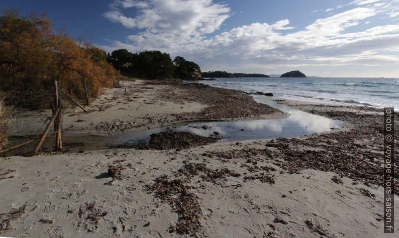 Ruisseau sur la Plage de l'Îlot du Jardin. Photo © André M. Winter