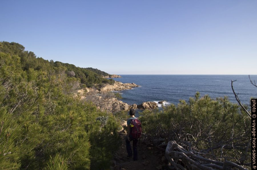 Côte à l'est du Merlier. Photo © André M. Winter