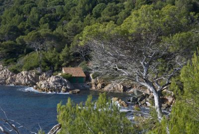 Abri de bateau dans la Baie des Roches Bleues. Photo © Alex Medwedeff