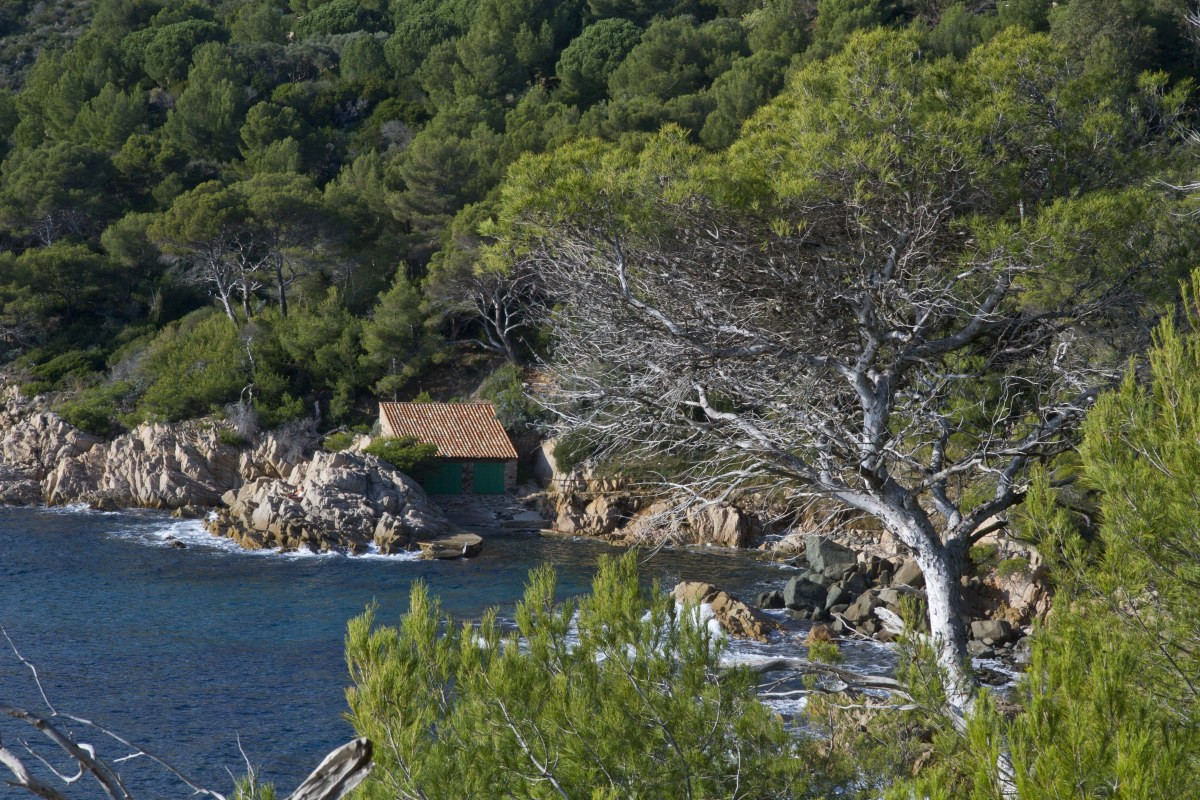 Abri de bateau dans la Baie des Roches Bleues. Photo © Alex Medwedeff