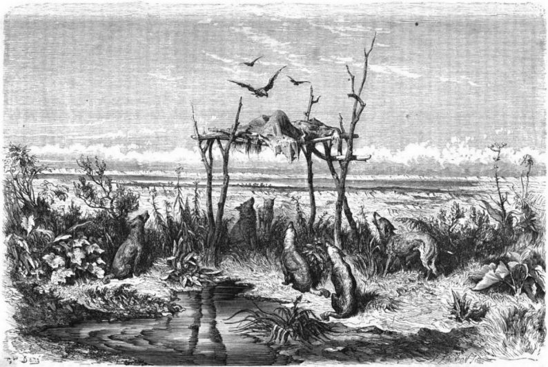 "Sépulture australienne au désert". Dessin de Doré d'après un ouvrage intitulé The Rambles at the Antipodes (Excursion aux antipodes)