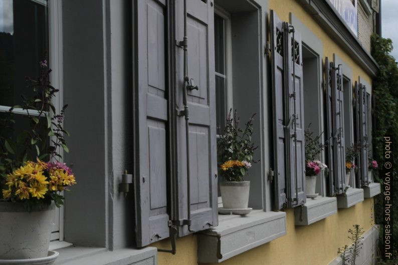 Pots de fleurs sur les rebord de fenêtre du rez-de-chaussée. Photo © Alex Medwedeff