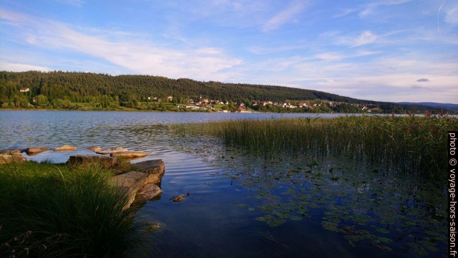 Marais sur la rive nord du Lac de St. Point. Photo © André M. Winter