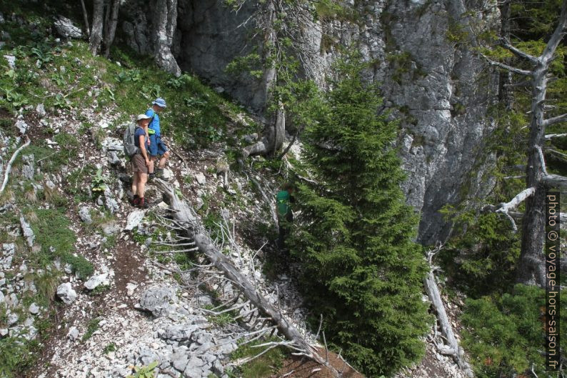 Sous les Aiguilles de Baulmes. Photo © Alex Medwedeff