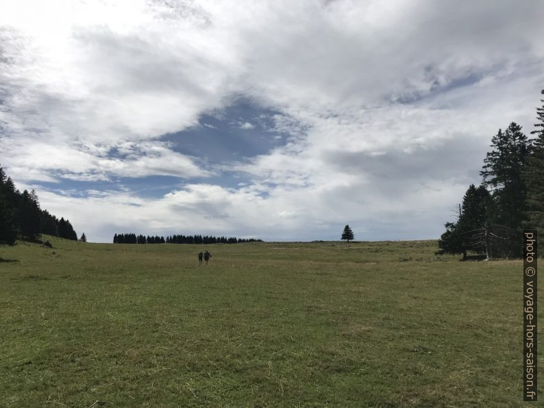 Pré de Sur le Tour. Photo © Alex Medwedeff