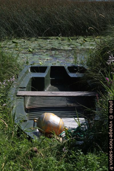 Barque dans les marais de l'estuaire du Doubs dans le Lac de St. Point. Photo © Alex Medwedeff