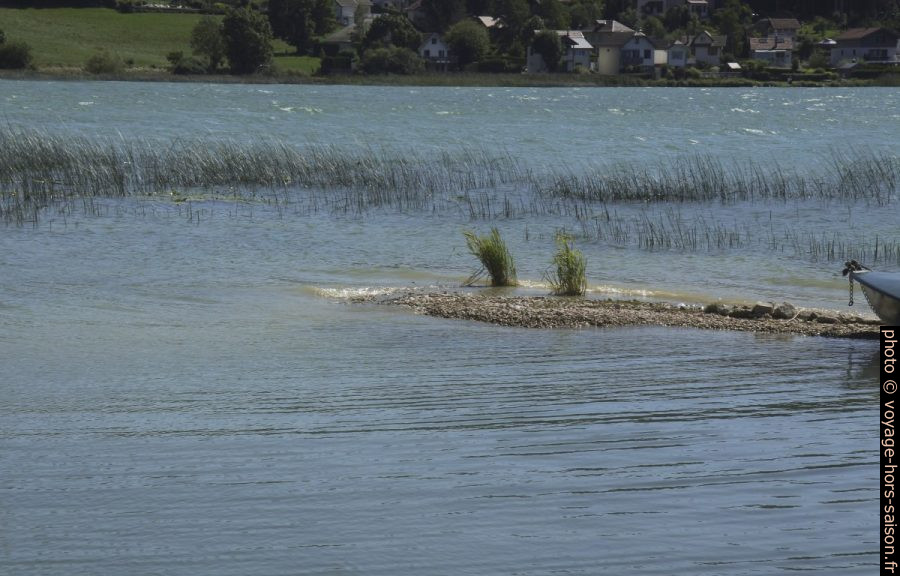 Eaux peu profondes en bordure de l'estuaire du Doubs dans le Lac de St. Point. Photo © André M. Winter