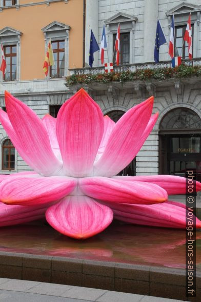 Fleur animée d'Annecy Paysages 2019. Photo © Alex Medwedeff