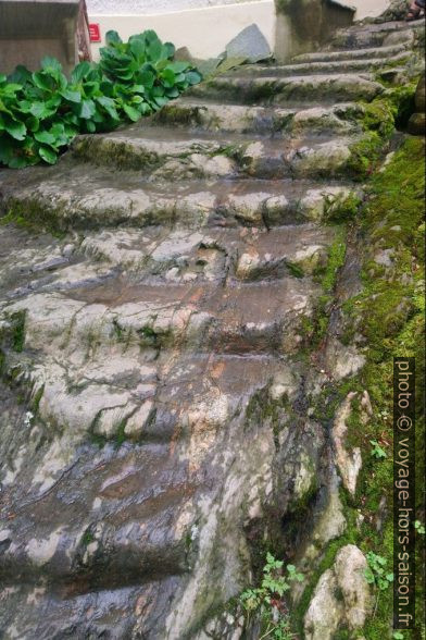 Escalier sur roche naturelle fortement usée. Photo © André M. Winter