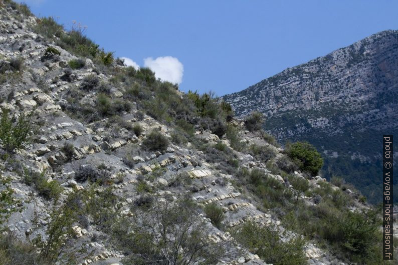 Berges du Lac de Castillon. Photo © André M. Winter