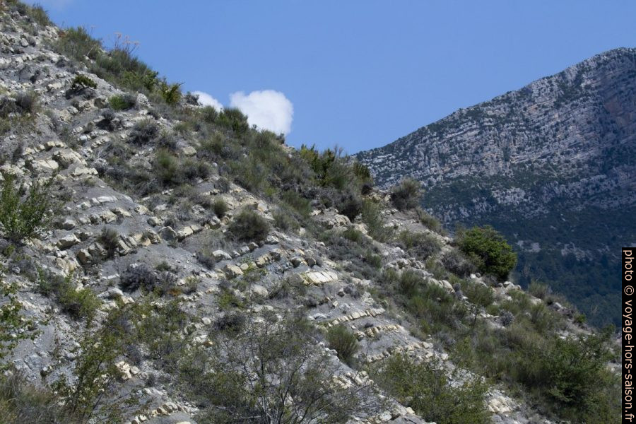 Berges du Lac de Castillon. Photo © André M. Winter