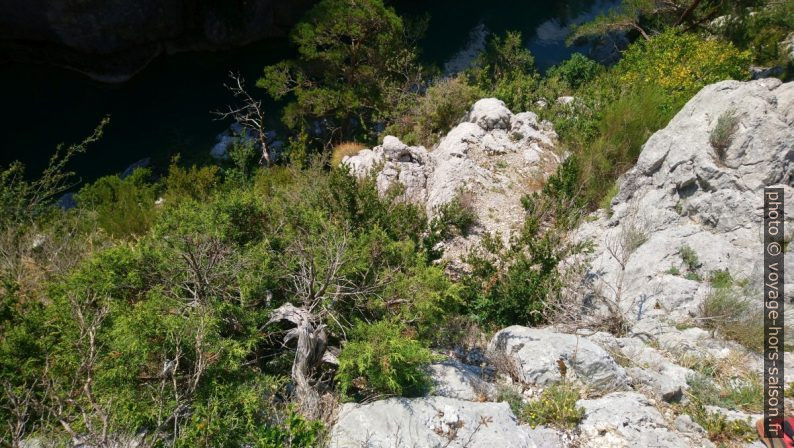 Vue de la descente après le chêne. Photo © André M. Winter