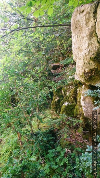 On monte dans le versant humide. Photo © André M. Winter