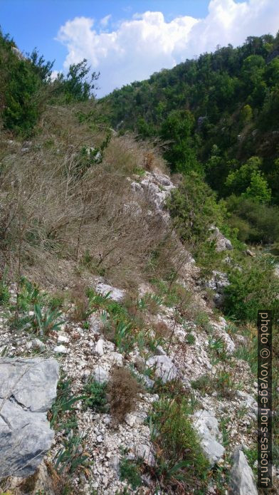 Terrain pentu vague en amont des strates horizontales. Photo © André M. Winter