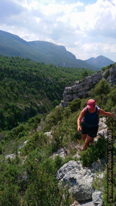 Nous montons sur des rochers entre les buissons. Photo © André M. Winter